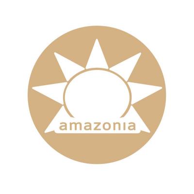 Amazonia Raw Protein Org Paleo Gentle Digest Chocolate 500g