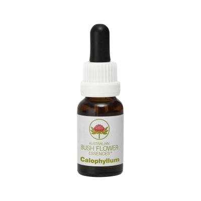Australian Bush Flower Essence Calophyllum 15ml