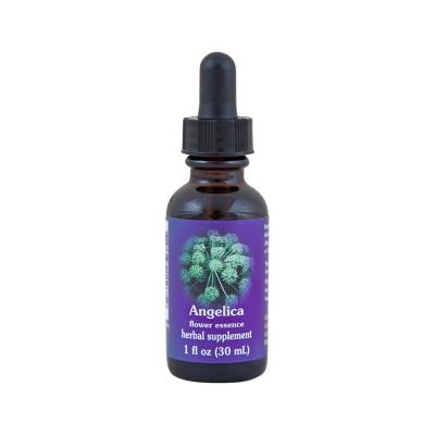 Fes Org Flower Ess Quintessent Angelica 30ml