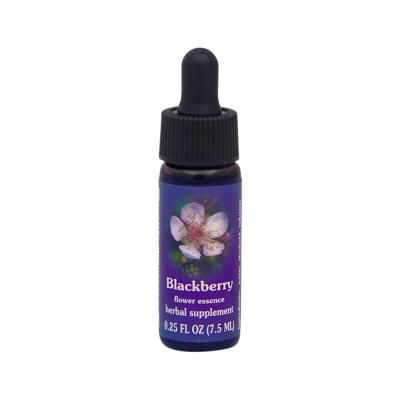 Fes Org Flower Ess Quintessent Blackberry 7.5ml