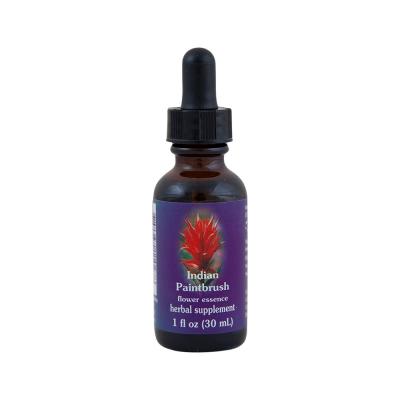 Fes Org Flower Ess Quintessent Indian Paintbrush 30ml