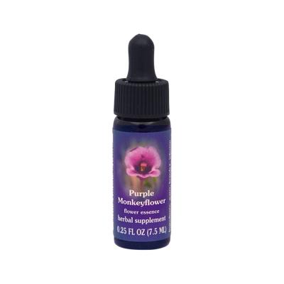 Fes Org Flower Ess Quintessent Purple Monkeyflower 7.5ml