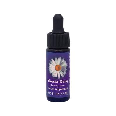 Fes Org Flower Ess Quintessent Shasta Daisy 7.5ml
