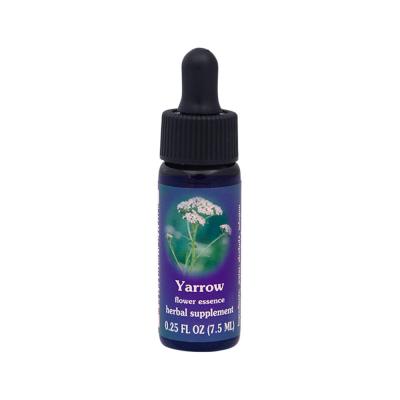 Fes Org Flower Ess Quintessent Yarrow 7.5ml