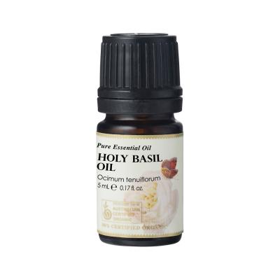 Ausganica Org Essential Oil Holy Basil 5ml