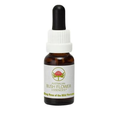 Australian Bush Flower Essence Dog Rose Of Wild Forces 15ml