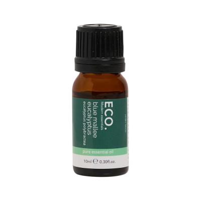 Eco Mod Ess Essential Oil Eucalyptus Blue Mallee 10ml