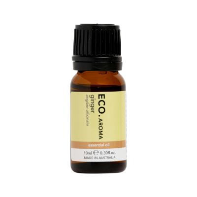 Eco Mod Ess Essential Oil Ginger 10ml