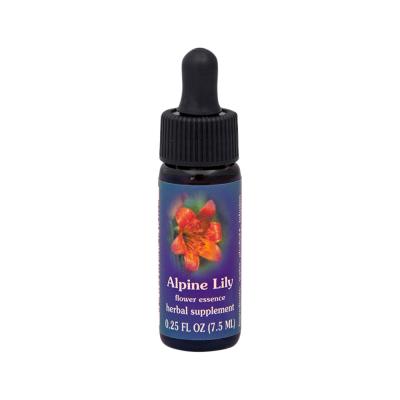 Fes Org Flower Ess Quintessent Alpine Lily 7.5ml