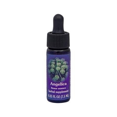 Fes Org Flower Ess Quintessent Angelica 7.5ml