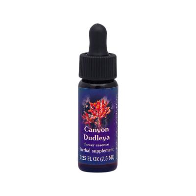 Fes Org Flower Ess Quintessent Canyon Dudleya 7.5ml