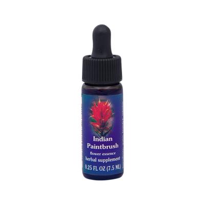 Fes Org Flower Ess Quintessent Indian Paintbrush 7.5ml