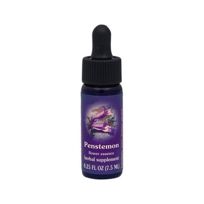 Fes Organic Quintessentials Flower Essence Penstemon 7.5ml