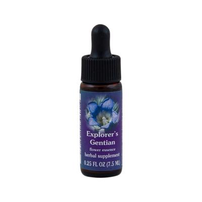 Fes Org Flower Ess Range Of Light Explorers Gentian 7.5ml