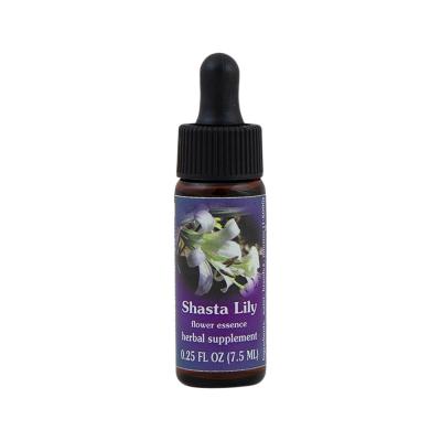 Fes Org Flower Ess Range Light Shasta Lily 7.5ml