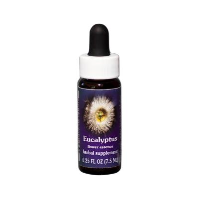 Fes Org Flower Ess Research Essence Eucalyptus 7.5ml