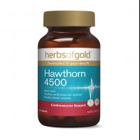 Herbs Of Gold Hawthorn 4500 60t