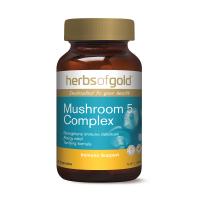 Herbs Of Gold Mushroom 5 Complex 60c