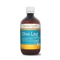 Herbs Of Gold Olive Leaf 500ml