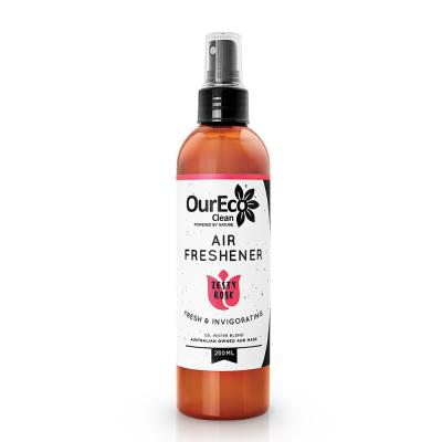 Oureco Clean Air Freshener Zesty Rose 250ml