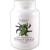 Synergy Natural Organic Wheat Grass Powder 500g